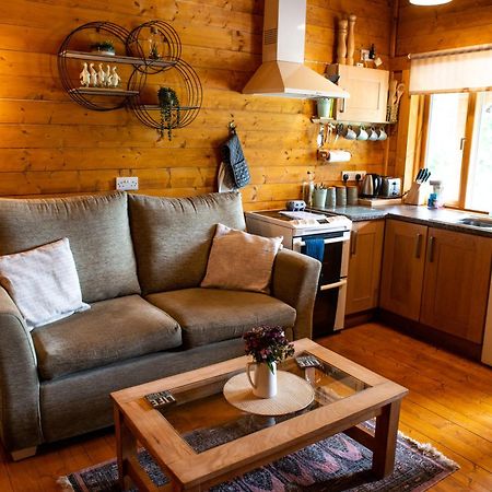 Cherry Cabin - Little Log Cabin In Wales Bettws Cedewain Bagian luar foto